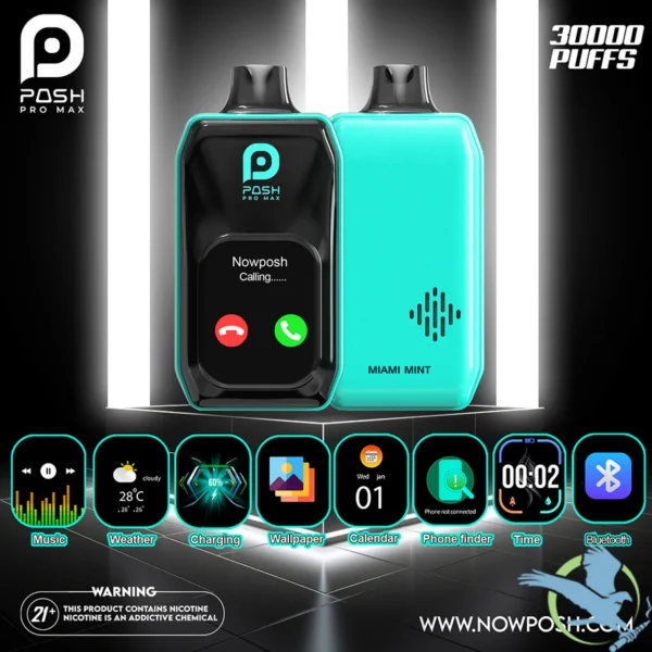 Posh Pro Max 30K Puffs 22ML Disposable Device With Bluetooth & Touch Screen