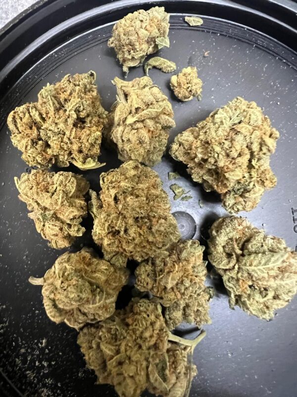 Sherb Mintz  29% HYBRID THCA