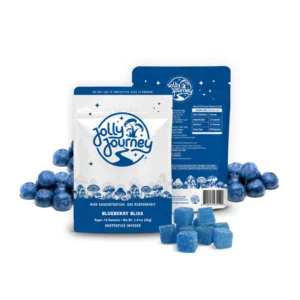 Jolly Journey Vegan Mushroom Gummies 10ct